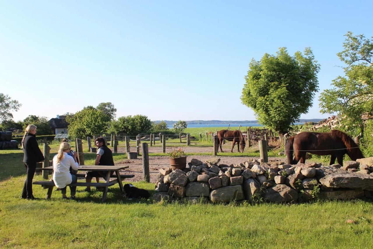 Stutteri Ahl Near Beach And Town Ebeltoft Exterior foto