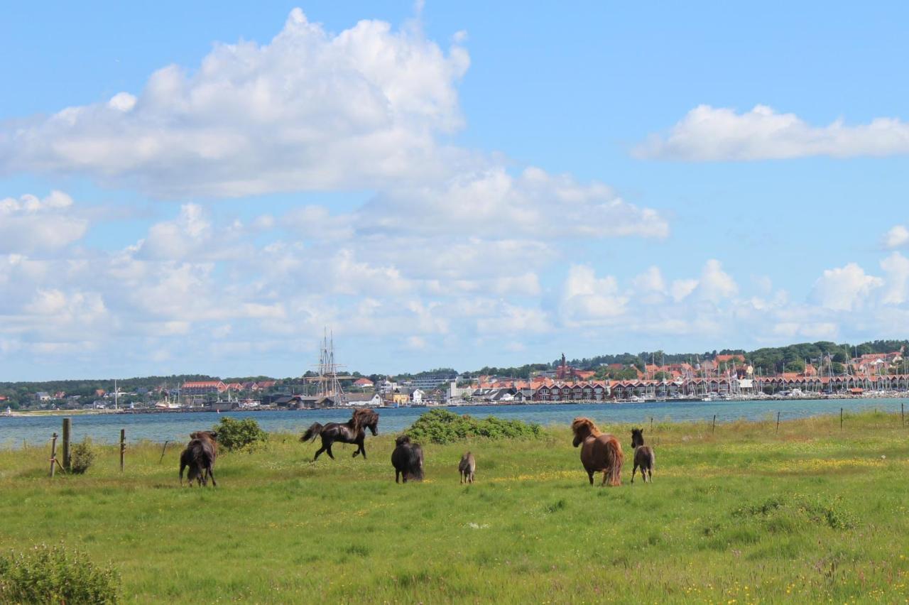 Stutteri Ahl Near Beach And Town Ebeltoft Exterior foto
